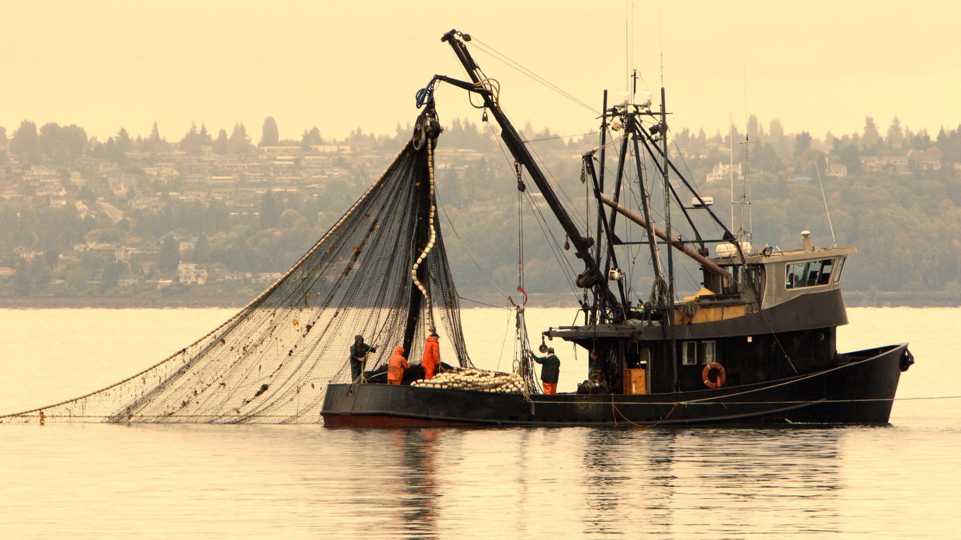 Fishing Boat