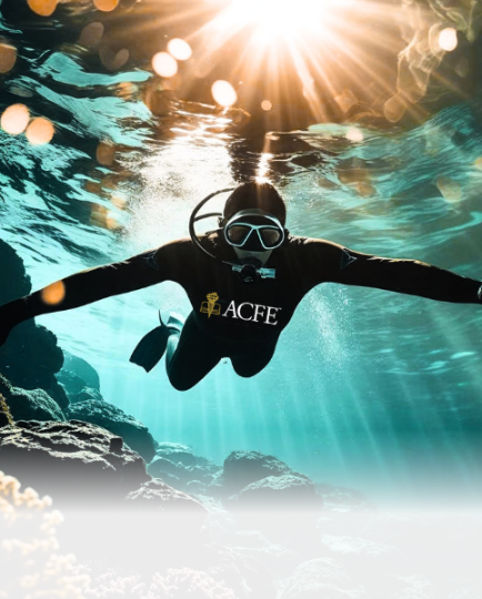 Anti-Fraud Conference: A Deep Dive